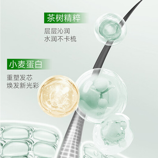 
FicceCode Tea Tree Shampoo 300ml Oil Control and Oil Removal Shampoo Long-lasting Soft Shampoo Imported in Australia