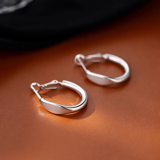 Idel hoop earrings for women 2025 new high-end earrings light luxury niche earrings birthday gift E3487 earrings