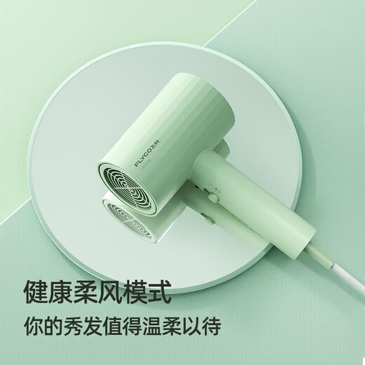 飞科（FLYCO）FH6276电吹风机家用小型冷热风发廊大功率吹风筒大风力可折叠速干吹风筒学生校园宿舍用1800W FH6296+气垫梳套装