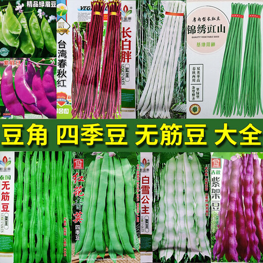 Beans, whole length, cowpeas, green beans, gluten-free flat belt rack, Yun Laimei, expanded skin, magpie bean seeds, Bai Fumei 2.5kg white beans