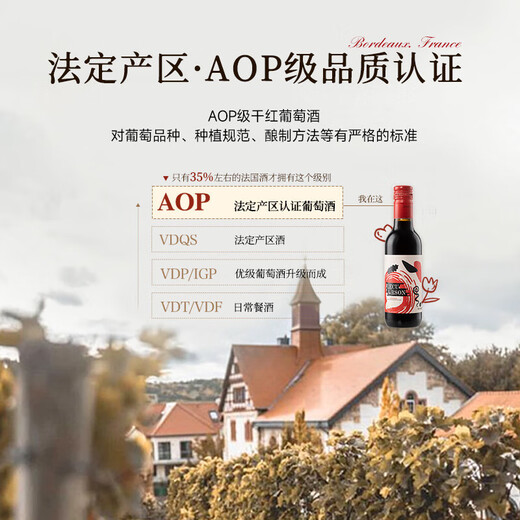 朗柏特法国红酒整箱干红葡萄酒女士微醺晚安小酒原酒进口187ml礼盒装