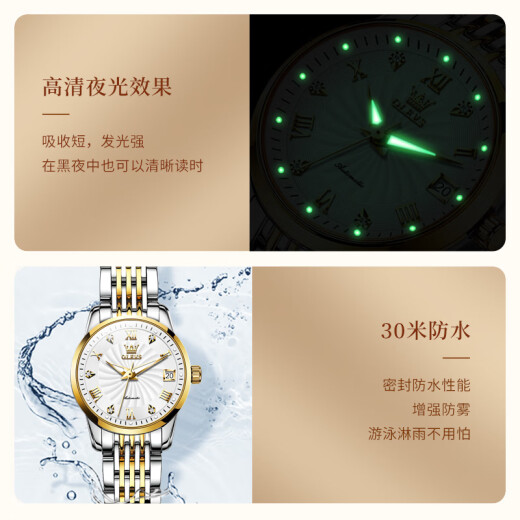 欧利时（OLEVS）瑞士认证品牌手表女士夜光防水全自动机械表简约气质轻奢女式腕表 欧利时-6630女-钢带间白