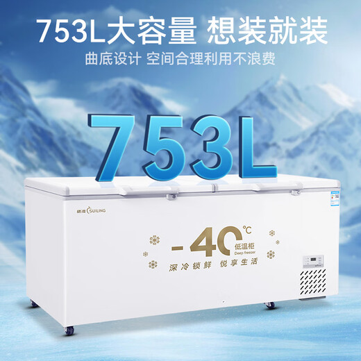 Congélateur suiling commercial congélateur grande capacité réfrigérateur horizontal réfrigérateur convertible réfrigérateur commercial réfrigérateur restaurant stand gard stand hôtel cuisine adaptée au réfrigérateur commercial - 40 / niveau d'efficacité énergétique / nouvellement lancé BD-828DW