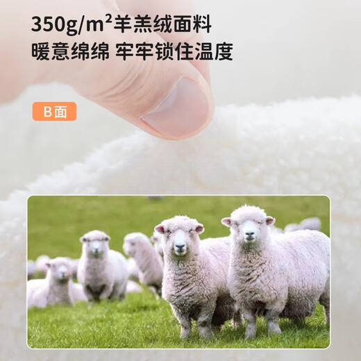 EVEBABY Baby Quilt Baby Blanket Autumn and Winter Thickened Infant Coral Velvet Cover Blanket Newborn Children Lamb Velvet Blanket Pink Coral Velvet + Lamb Velvet 120*100cm