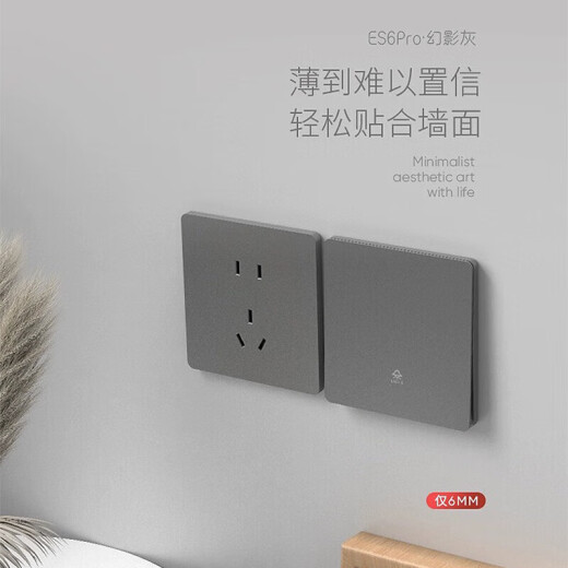 TEP 国际电工墙壁开关插座面板家用超薄哑光86型白色一开五孔空调多孔磨砂大板 五孔插座(补贴价第一个亏本看）