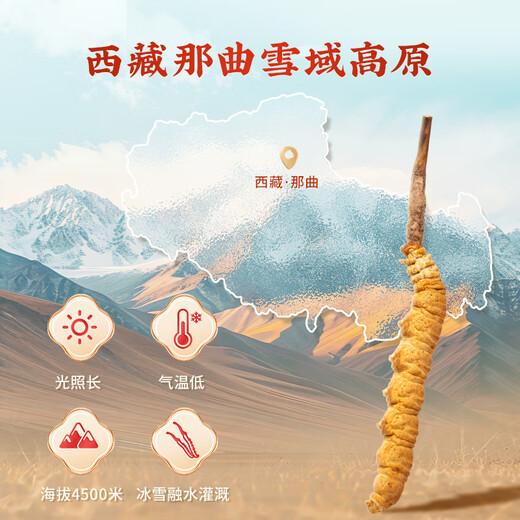 雷允上 西藏冬虫夏草A50-4g 20根虫草礼盒装 药典标准中药饮片级 补肾益肺止血化痰送礼送长辈礼物