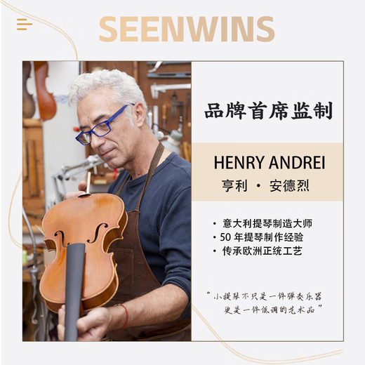 圣维斯sw003纯手工实木小提琴初学者儿童10级成人演奏入门专业级比赛 1/2 身高130-140