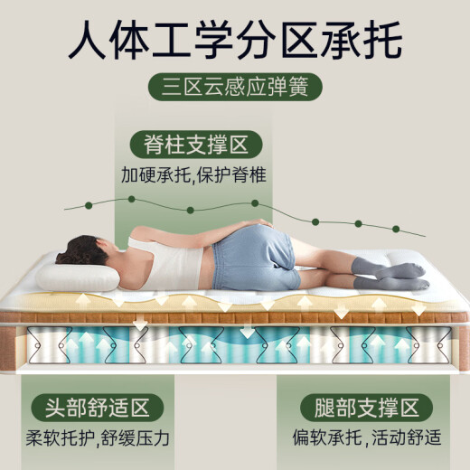MA Master Ladex Spring Mattress 1.8x2m Simmons Simmons Soft and Hard Dual-Spine Protection Mattress Jute Brout Brout Brout 1.5x2m Sprout Classic C Style [Hard Strong Ridge/23cm] 1350 mm*2000 mm
