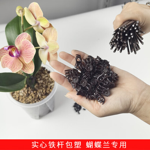 
Phalaenopsis special bracket orchid fixing clip protective cap plant fixing branch device plastic flower frame support rod [diameter 3mm] Phalaenopsis support rod 40cm long 10 rods + 10 protective caps + 20 clips
