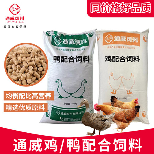 Tongwei Feed Breeding Special Open Layer Chicken and Duck Bird Feed Full Price Chicken Food Rutin Large Chicken Fishing Nutritional Chicken Media Tongwei 422 7 weeks old to start of production Duck in Egg-Trial