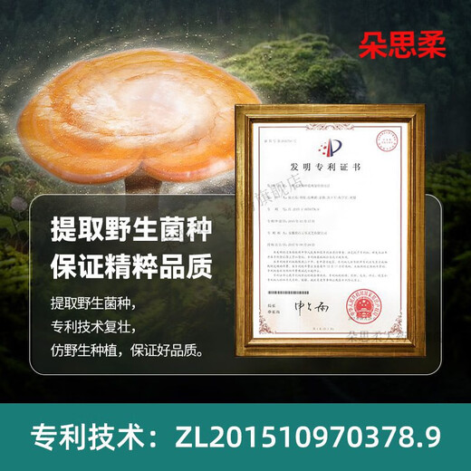 Letweijian Ganoderma broken spore powder 60 capsules 2 bottles/3 bottles to improve sub-health in middle-aged and elderly people 60 capsules*1 bottle