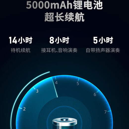 Shengrui SR8000 Hair Tube Offizielle authentische 2025 neue Musikinstrumente für Anfänger Haushaltsprofi spielen mittlere und ältere Musikinstrumente. Offizielle Fabrik vollständige Geschenke + Originalharte Tasche
