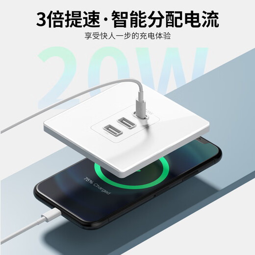 国际电工86型USB插座面板暗装墙壁手机智能充电多口Type-c插座20W快充家用 白色双USB+Type-C【快充20W】