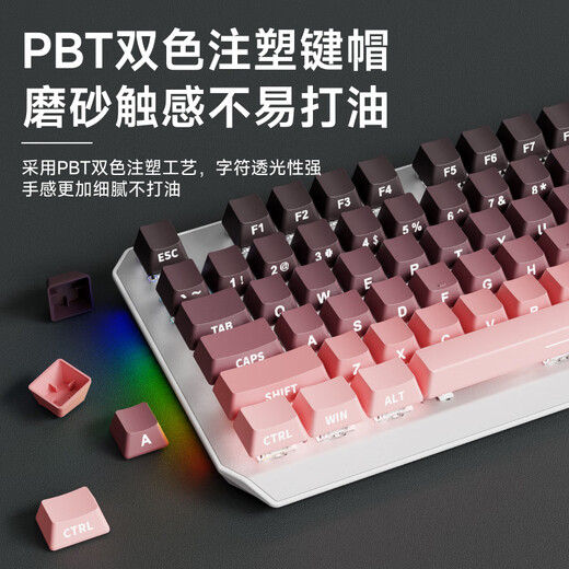 前行者TK870无线机械键盘鼠标套装蓝牙三模高颜值黑莓侧刻104键游戏电竞台式笔记本电脑办公有线通用外设 黑莓侧刻-87键【有线版】白光 红轴（轻声舒适）