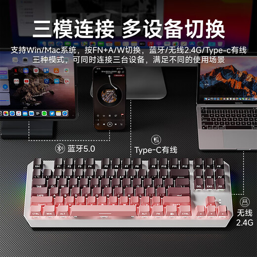 前行者TK870无线机械键盘鼠标套装蓝牙三模高颜值黑莓侧刻104键游戏电竞台式笔记本电脑办公有线通用外设 黑莓侧刻-87键【有线版】白光 红轴（轻声舒适）