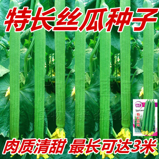 Long luffa seeds are planted in all seasons, early maturing snake-shaped luffa garden pots contain luffa, meat and vegetable seeds. The flesh is sweet. Long luffa seeds are planted all year round. Original 75 capsules. 88% people choose it.