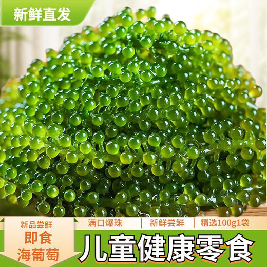 盐渍海葡萄泡发食用 儿童海藻菜海洋蔬菜海草 海葡萄100g*3袋【送芥末酱油】