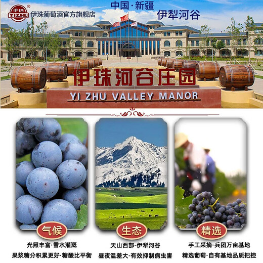 Yizhu Red Ice Wine 12 Degrees 375ml Xinjiang Ice Wine Sweet Red Asian Gold Gold Wine Country Country Yili River Valley Manor One Bottle Ice Red One Bottle 693 Meile secado Rojo