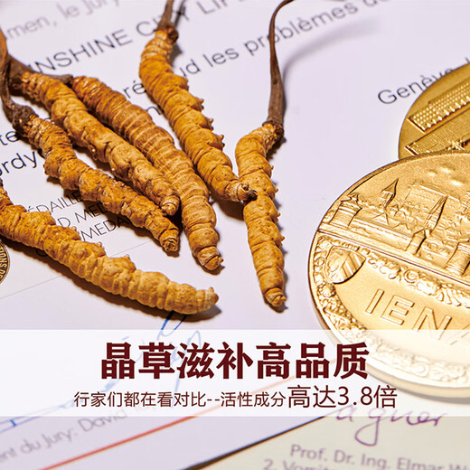 晶草冬虫夏草2根/g50g约100根父亲节礼物大个头虫草王商务送礼礼盒