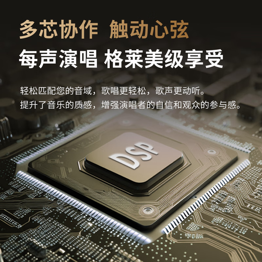 Melody DSP6300Pro pre-effector karaoke reverb digital audio processor home amplifier audio anti-howling mixer processor DSP6300 Pro_spectrum display_Bluetooth version