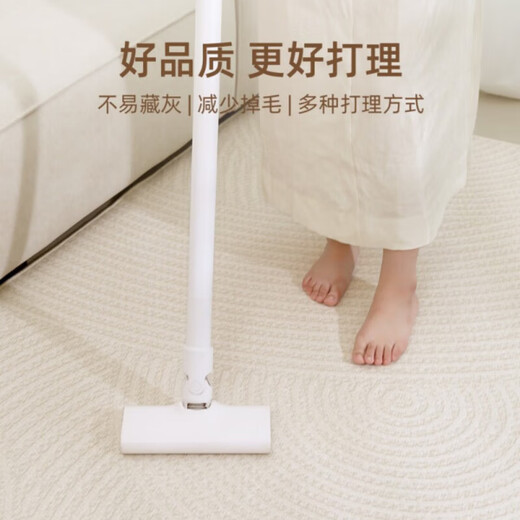
Zhenshinu carpet living room 2024 new high-end bedroom sofa cream style simple, carefree and waterproof and cleanable floor mat 15934 160cm*230cm [2-3 people sofa universal]