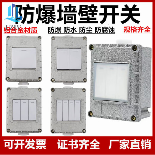 Explosion-proof wall switch explosion-proof lighting switch SW-10 waterproof and dustproof wall switch type 86 220V 380V one switch can be dual controlled