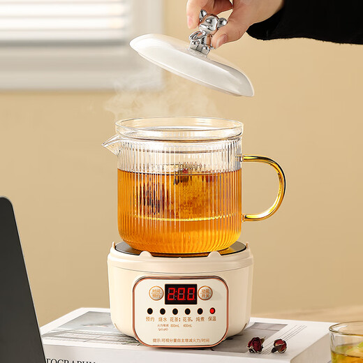 Mini multi-functional health pot all-glass electric ceramic stove health kettle small office tea maker 2024 new teapot mini flower teapot health cup for one person smart electric ceramic stove + 0.65L glass cup + glass tea drain