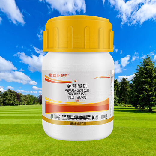 Shijia Little Fatty 15% Prohexadione Calcium Ginger Regulates Growth, Controls Prosperity and Inhibits Growth Plant Growth Regulator 500g