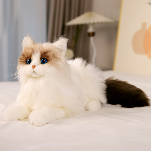 Simulierte Katzenpuppen, Ruffian -Katzenpuppen, Puppen, Kätzchen Plüschspielzeuggeschenke für Freundinnen am Valentinstag, Ragdolls, Katzenpuppen, Standardstil 38*22 cm