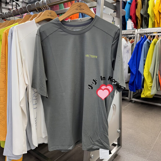 
Archaeoptera Bird (ARC'TERYX)ARC/aposTERYXCORMAC Arc/aposBird LOGO SS round neck short-sleeved T-shirt men's FHI / Misty gray green 7994/9721 M