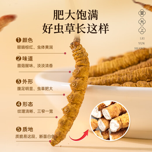 雷允上【官方】冬虫夏草 高端礼盒高档补品送人长辈父母礼盒 【虫草呈领，敬重恩酬】4根/g10g约40根