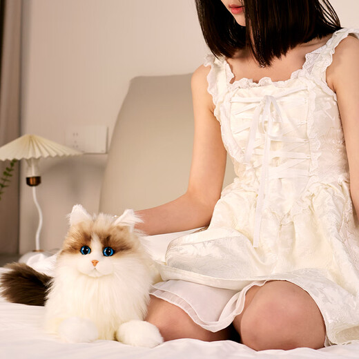 Simulierte Katzenpuppen, Ruffian -Katzenpuppen, Puppen, Kätzchen Plüschspielzeuggeschenke für Freundinnen am Valentinstag, Ragdolls, Katzenpuppen, Standardstil 38*22 cm