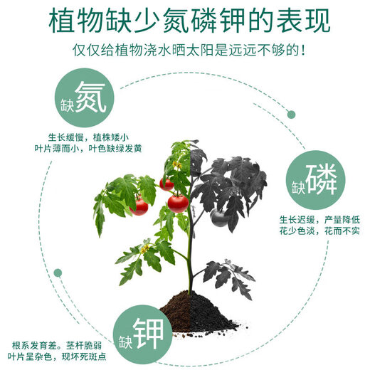 Compound fertilizer, vegetable agricultural cauliflower fertilizer, water-soluble fertilizer, potted plant foliar nitrogen, phosphorus and potassium fertilizer, household granular fertilizer, universal slow-release blended fertilizer 500g*3 cans with planting tools