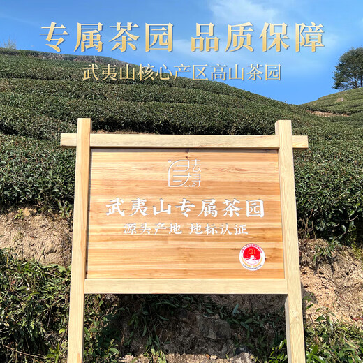 Geh und finde schwarze Tee Wuyishan Jinjunmei Special 250g Teenbox Geschenk Geschenkgeschenk Geschenk