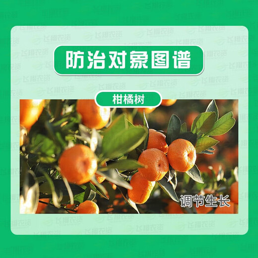 Guoguang Plant Source 2% Benzylaminopurine Rose Fruit Tree Flower Flowering and Germination Preserving Flower and Fruit Cytokinin 10m 10ml