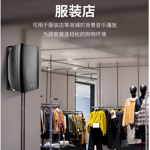 先科（SAST）DW40壁挂式音响音箱喇叭 40W无源需连功放机店铺商用工程会议室家用餐厅公共广播背景音乐 4英寸	