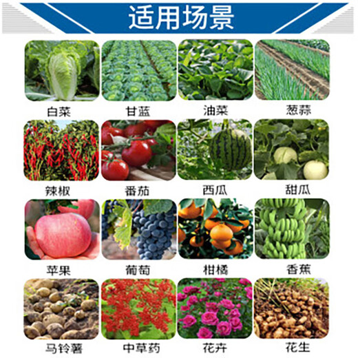 Stanley macroelement water-soluble fertilizer balanced high-nitrogen, high-phosphorus, high-potassium nitrogen fertilizer, phosphate fertilizer, potassium fertilizer, compound fertilizer 5kg*1 bag