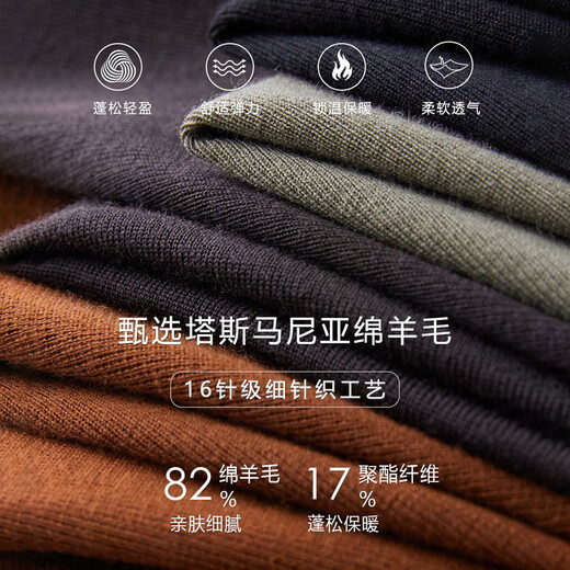 SANHEER冬季BI入高端毛衣 德国扬子保暖羊毛厚款男士半高领羊毛衫 DAZ687 栗咖色 50/L