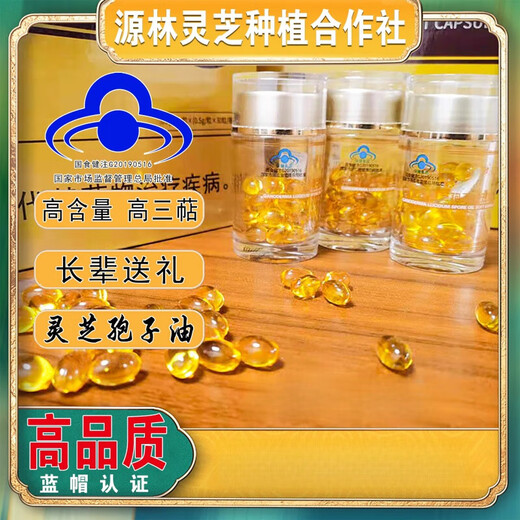 Cápsula blanda de aceite de esporas de Ganoderma seleccionado Extracto en polvo de esporas de Ganoderma Alto contenido especial Certificado Blue Hat Alto contenido 4 botellas 120 cápsulas