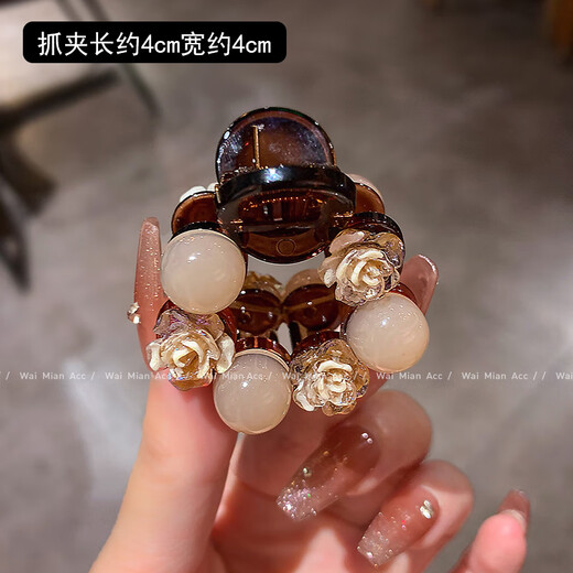 BARY REEF sense rose grabber female temperament fashion ponytail fixing clip 2024 new half grab hairpin versatile headwear rose grabber (1 piece)