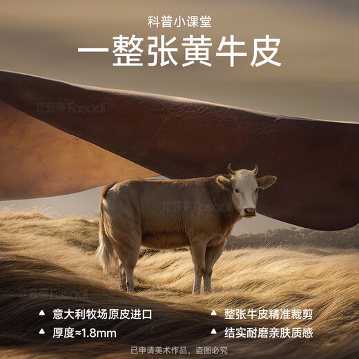 Fasati Government Subsidy Leather Sofa Small Apartment Modern Simple Living Room Sofa Retro Style Straight Three-Seater 3.1 Meter Double+Double Luxury Edition First Layer Cowhide