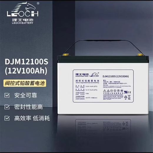 LEOCH理士蓄电池DJM12250S铅酸免维护12V250AH铁塔基站储能UPS通讯系统 DJM12250S（12V250AH） 12 40天 