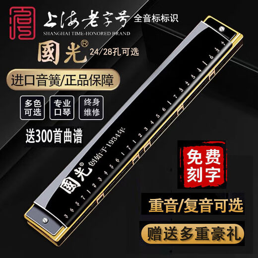 国光国光口琴专业演奏级重音德国进口音簧复音C调初学者入门成人自学 24孔 C调 重音银色+全套赠品