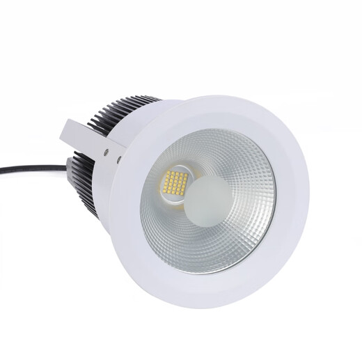 LED车站顶灯 LG967 LG967-20W