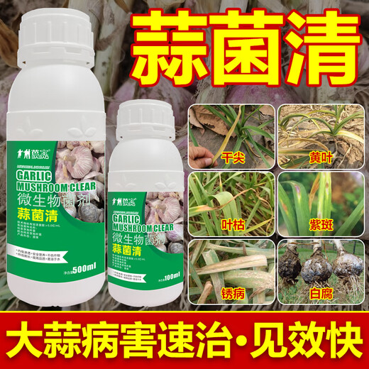 Garlic Bacteria Clear Extract Garlic Special Medicine Dry Tip Yellow Leaf Root Rot Leaf Blight Rust Purple Spot Sterilizing Garlic Bacteria Clear 100ml 2 Bottles