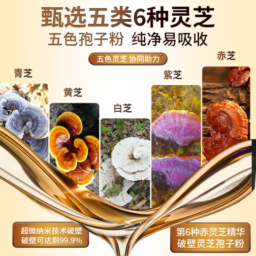 五色破壁灵芝孢子粉胶囊滋补营养品中老年增强免疫力术后探病礼物