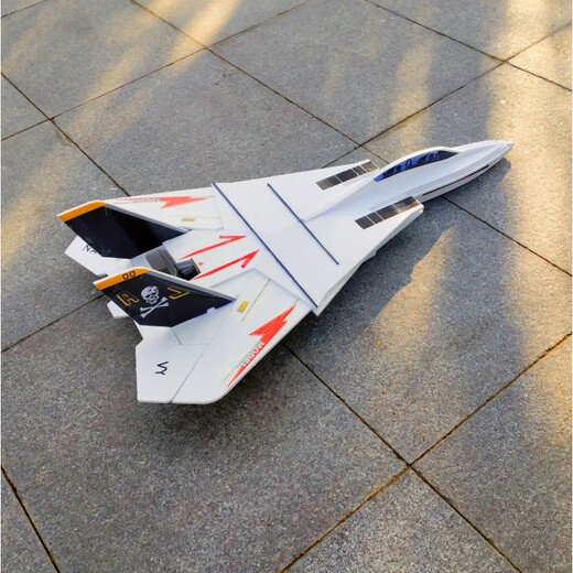 BILLY RICE modèle réduit d'avion télécommandé à monter soi-même compétition F14 modèle réduit d'avion à voilure variable chasseur résistant aux K électrique autonomie de la batterie de 15 minutes blanc nouveau matériau panneau kt avion vide + fil d'acier + pieds de gouvernail + tige de carbone, feuille de carbone
