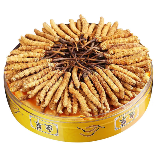 Beijing Tongrentang Quality Cordyceps Lhasa Shipping Authentic Cordyceps Gift Box Pack Broken Cordyceps Dry Gift Gift Box Gift Box 2 1 gram Complete Cordyceps 100 Roots 50 grams in total [Independent Tube Installation]