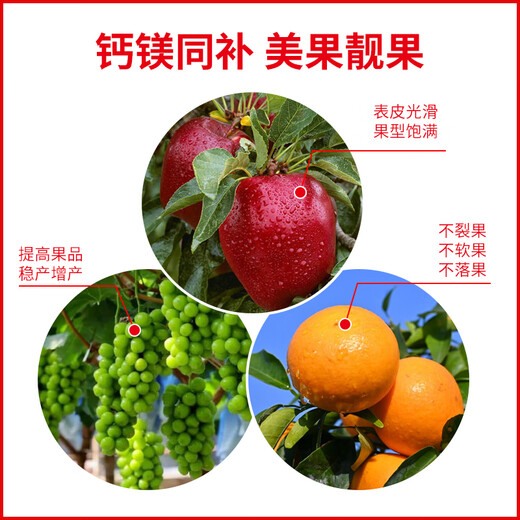 Jinzhengda calcium and magnesium water-soluble fertilizer with medium amount of elements for fruit trees and vegetables to prevent hollow cracked fruit deformity, fruit expansion and fruit strengthening fertilizer calcium and magnesium for fertilization 5L