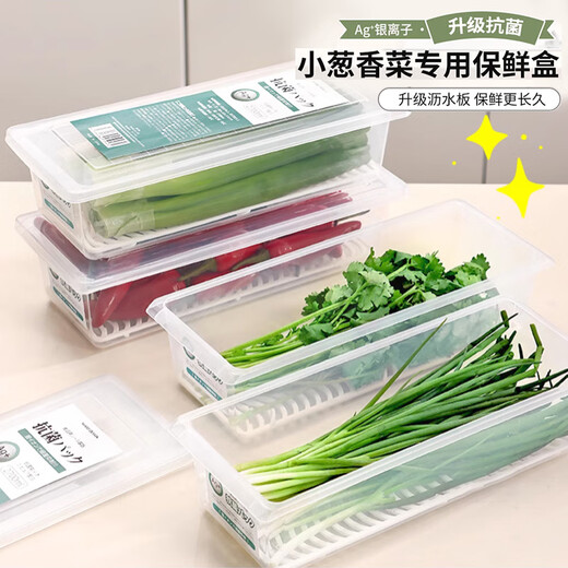 Home KATEI STORY Japanese antibacterial onion crisper drain food grade long coriander green onion ginger garlic refrigerator storage box onion segment box